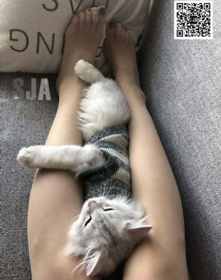 石原莉奈av_国产剧天堂在线