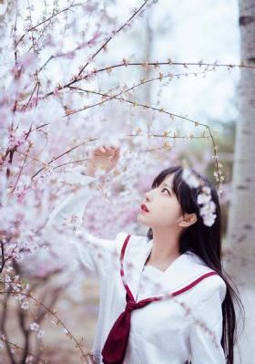 电影狂野的爱_720高清视频播放